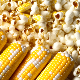 καλαμπόκι corn